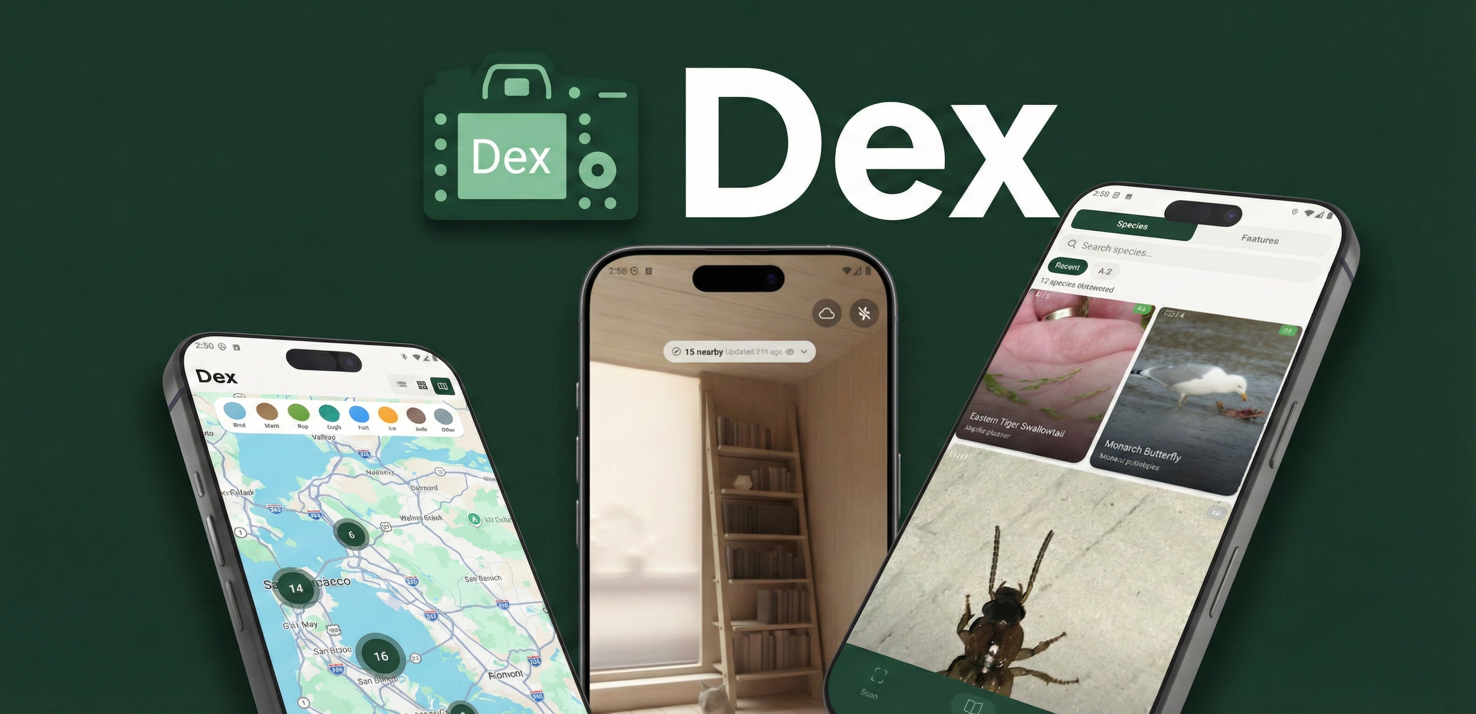 RealDex